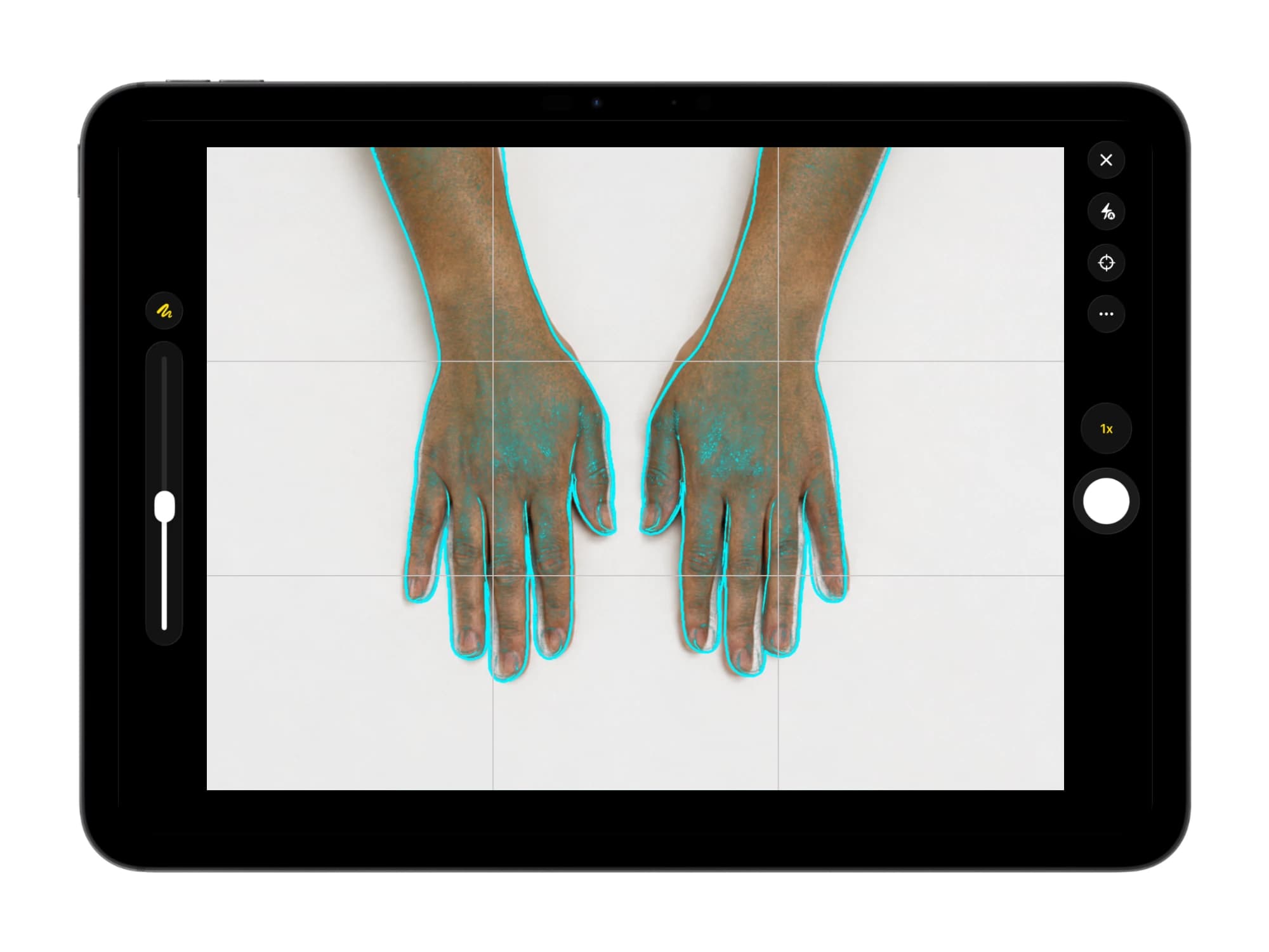 Atlas Companion camera capture on iPad, with a live reference-alignment overlay guiding a follow-up photograph