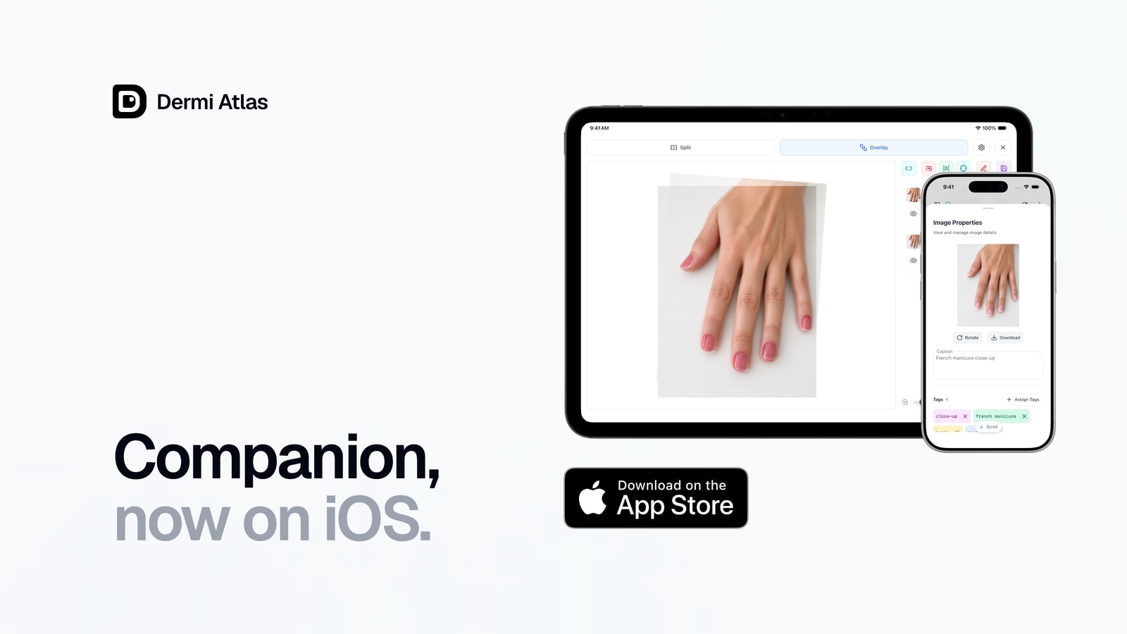 Dermi Atlas Companion on iPad and iPhone with the Download on the App Store badge