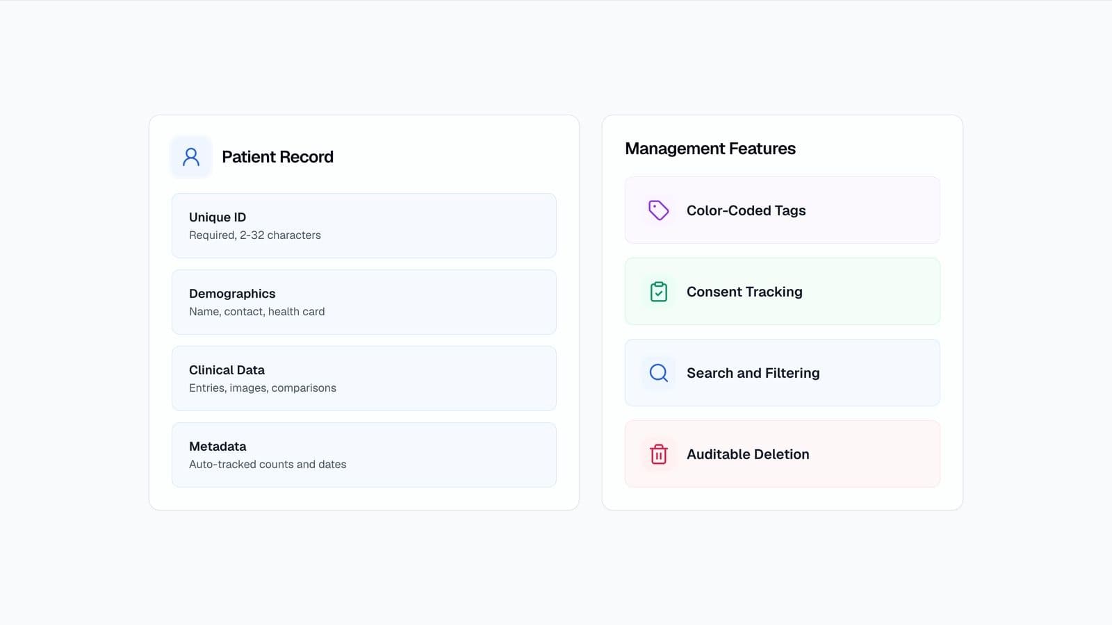 Patient management dashboard showing structured clinical records with tag organization and consent tracking