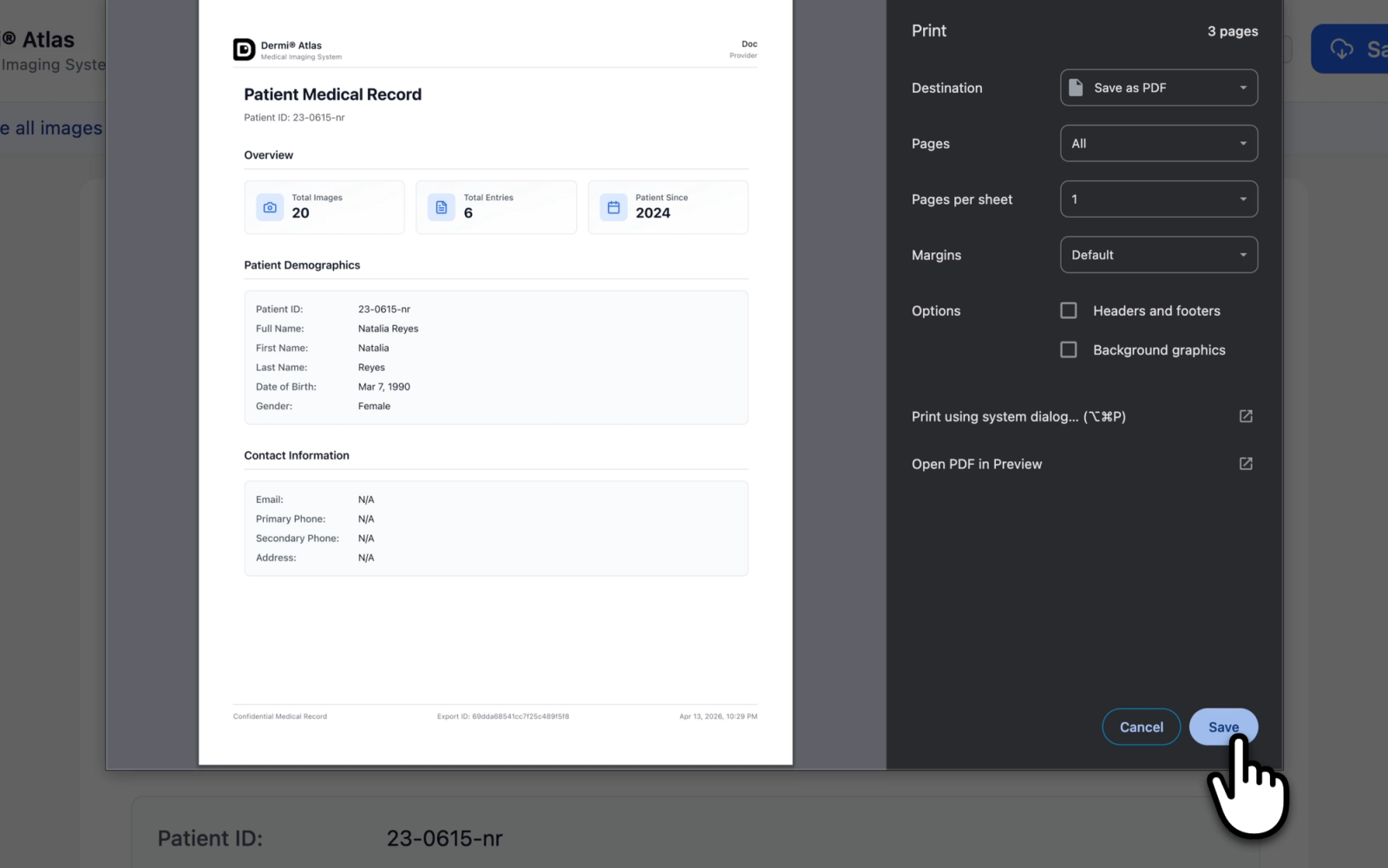 Patient Details Report preview showing overview statistics, demographics, contact and medical information, and consent status