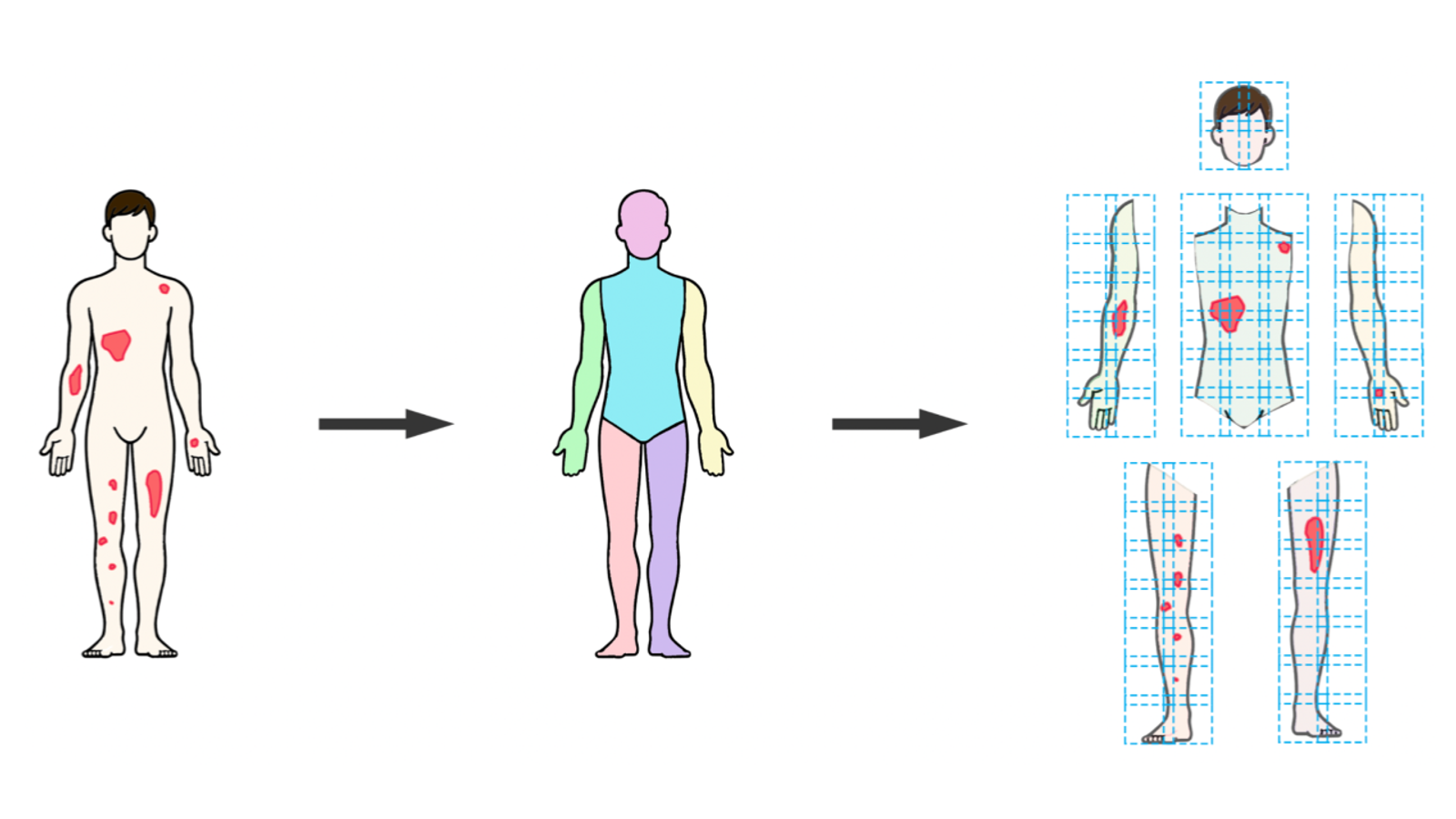Conceptual diagram showing AI integration into clinical workflow